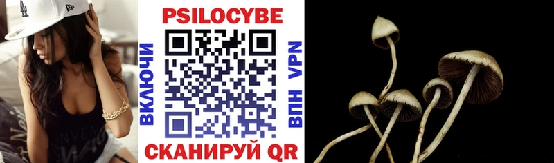 закладки  Невель  Псилоцибиновые грибы мухоморы 